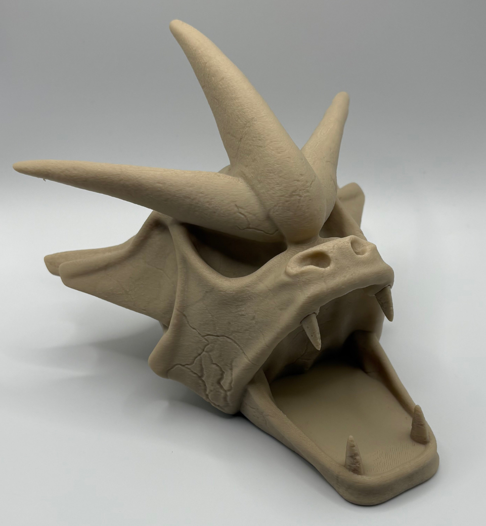 Gyarados skull
