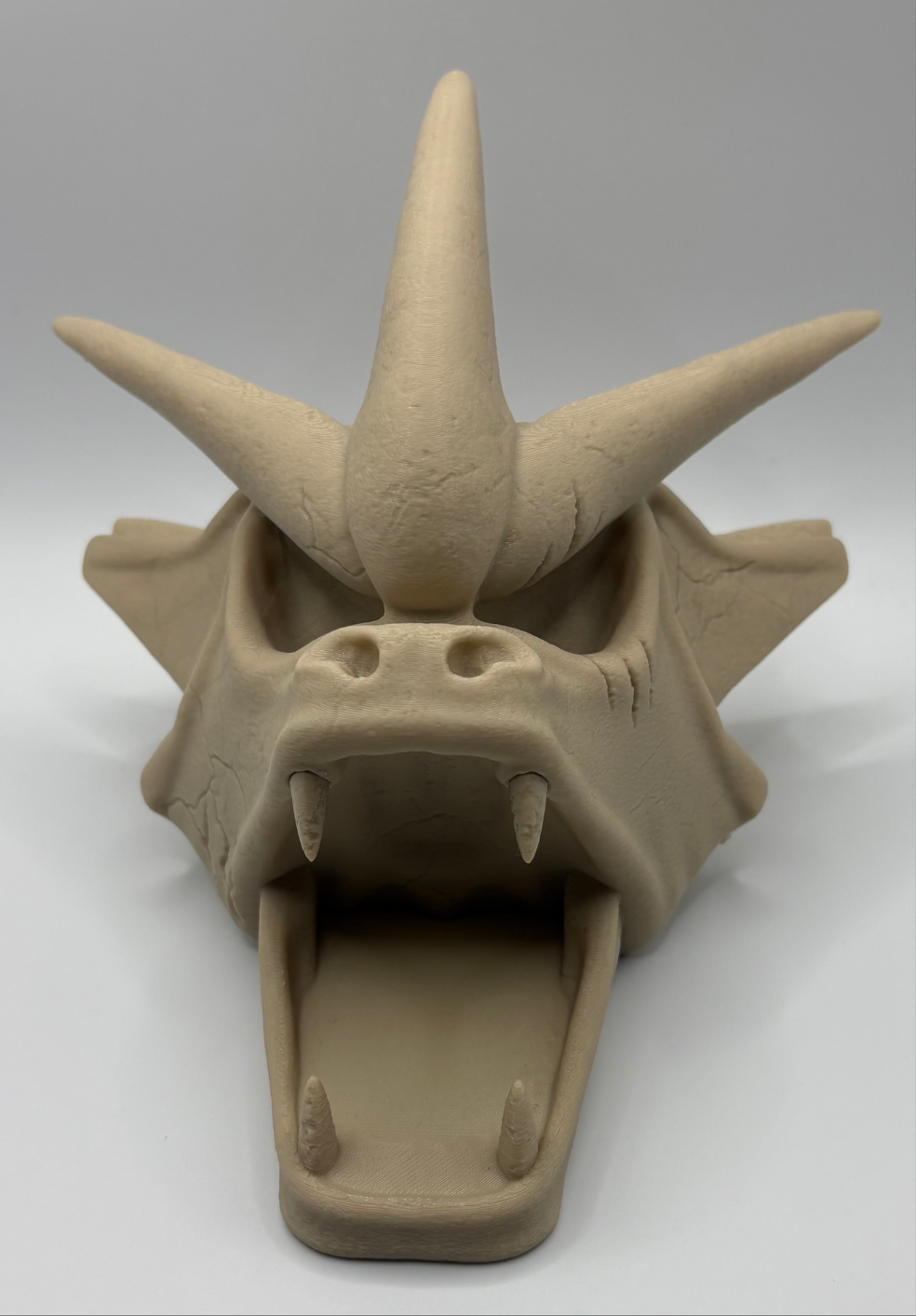 Gyarados skull