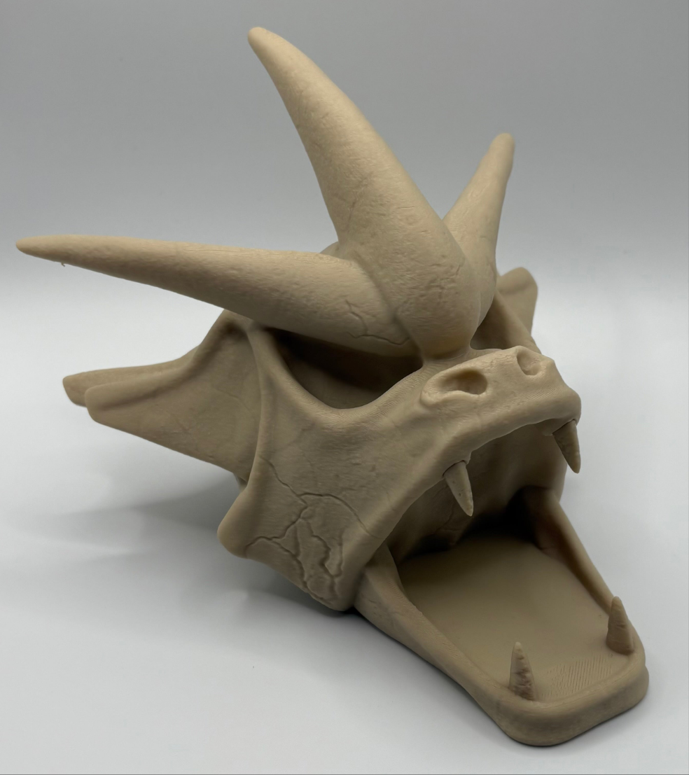 Gyarados skull