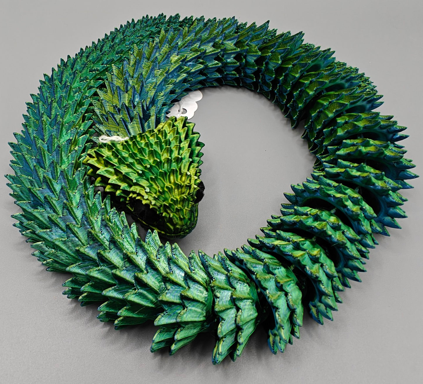 Bush Viper Snake