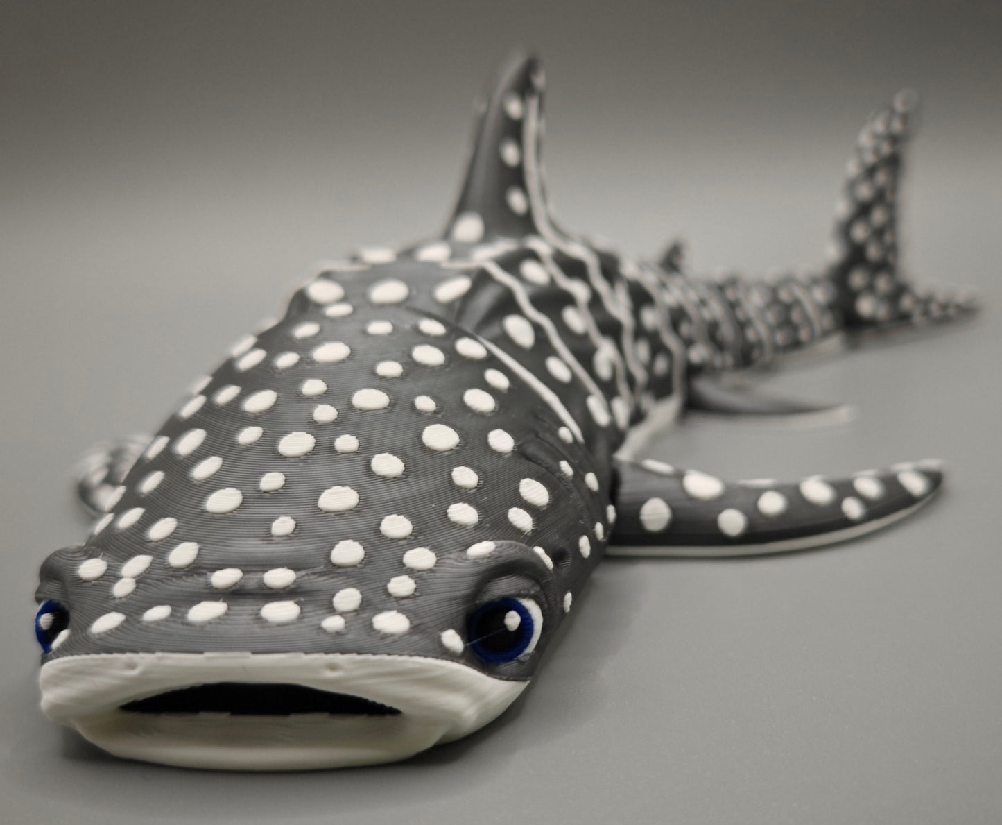 Whale Shark Flexi