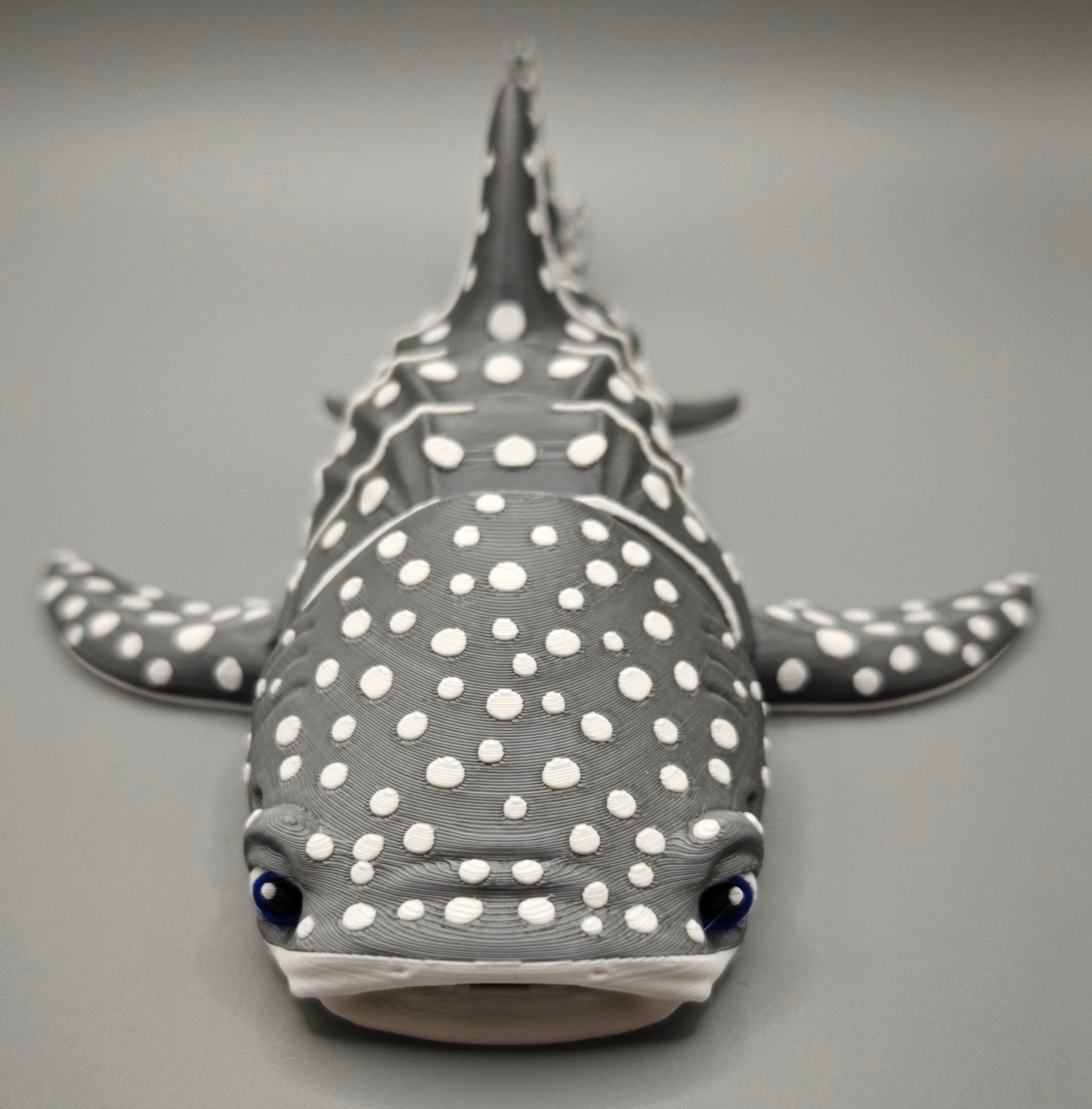 Whale Shark Flexi
